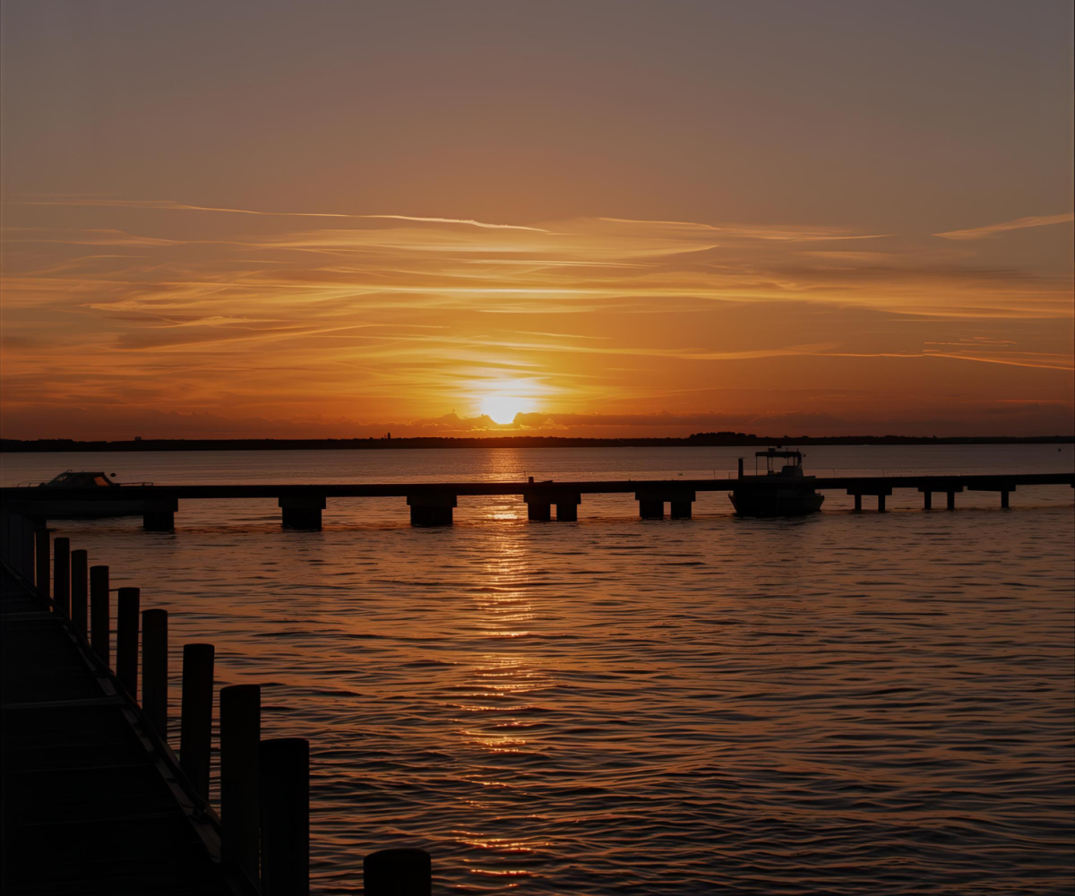 things to do in cape coral