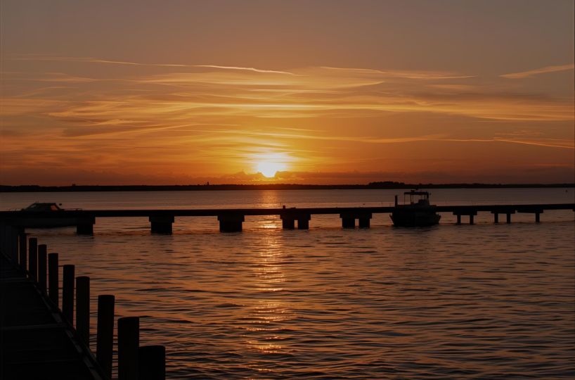 things to do in cape coral