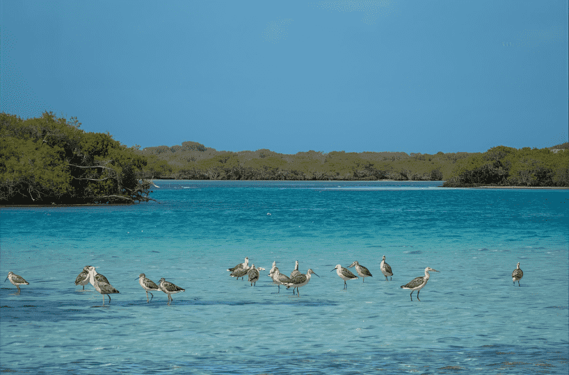 things to do in cape coral