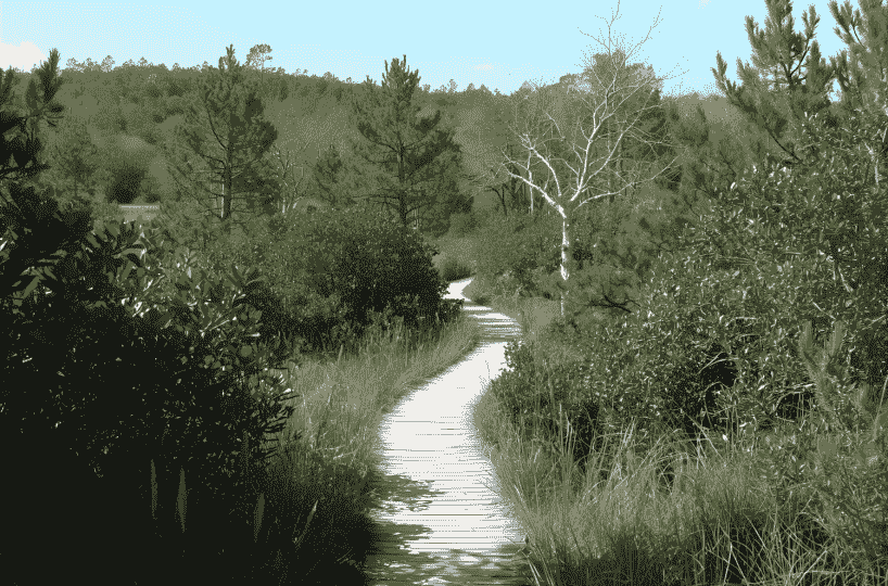 things to do in cape coral